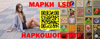 стаф Краснодар
