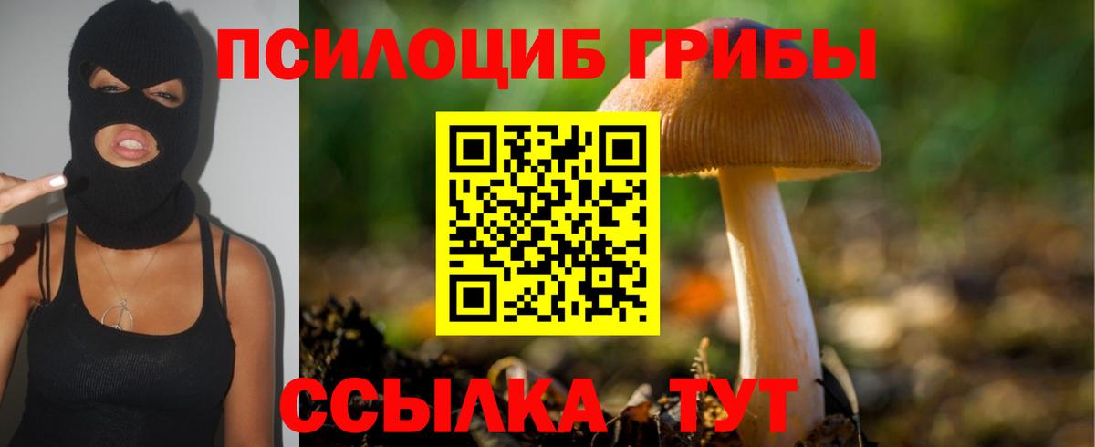 Качканар  Псилоцибиновые грибы GOLDEN TEACHER  Псилоцибиновые грибы мицелий  Вход с VPN 